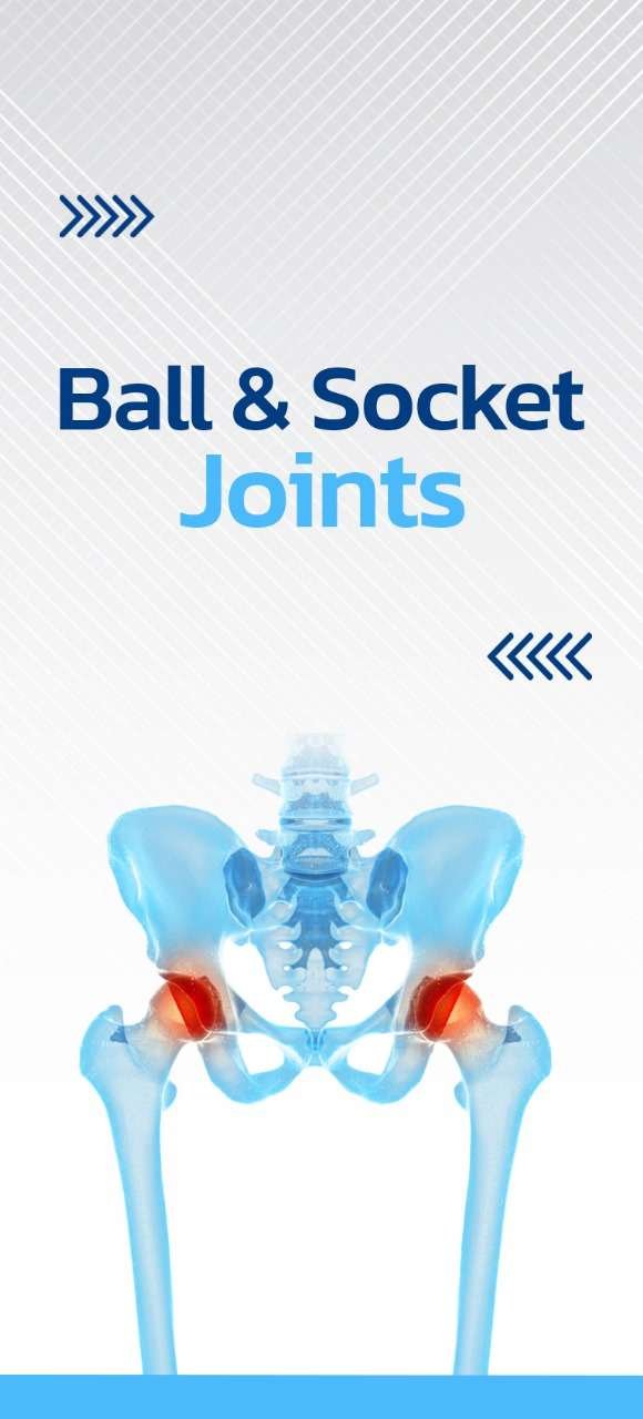 Ball & Socket Joints